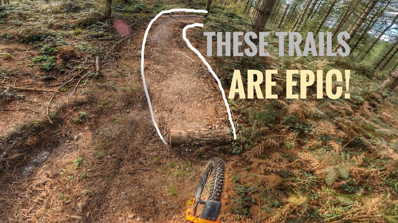 How Have I Never Found These Epic Off-Piste MTB Trails Before?!