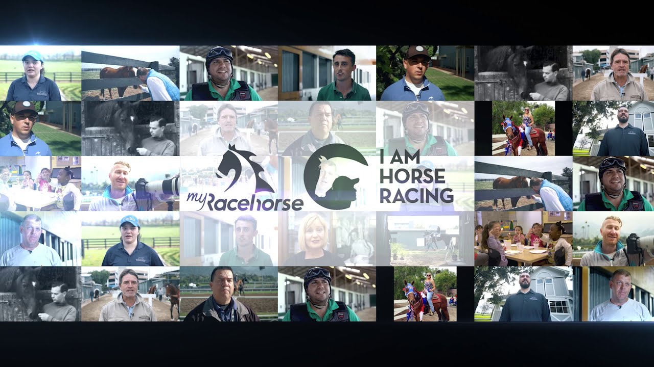 MyRacehorse partners with I Am Horse Racing