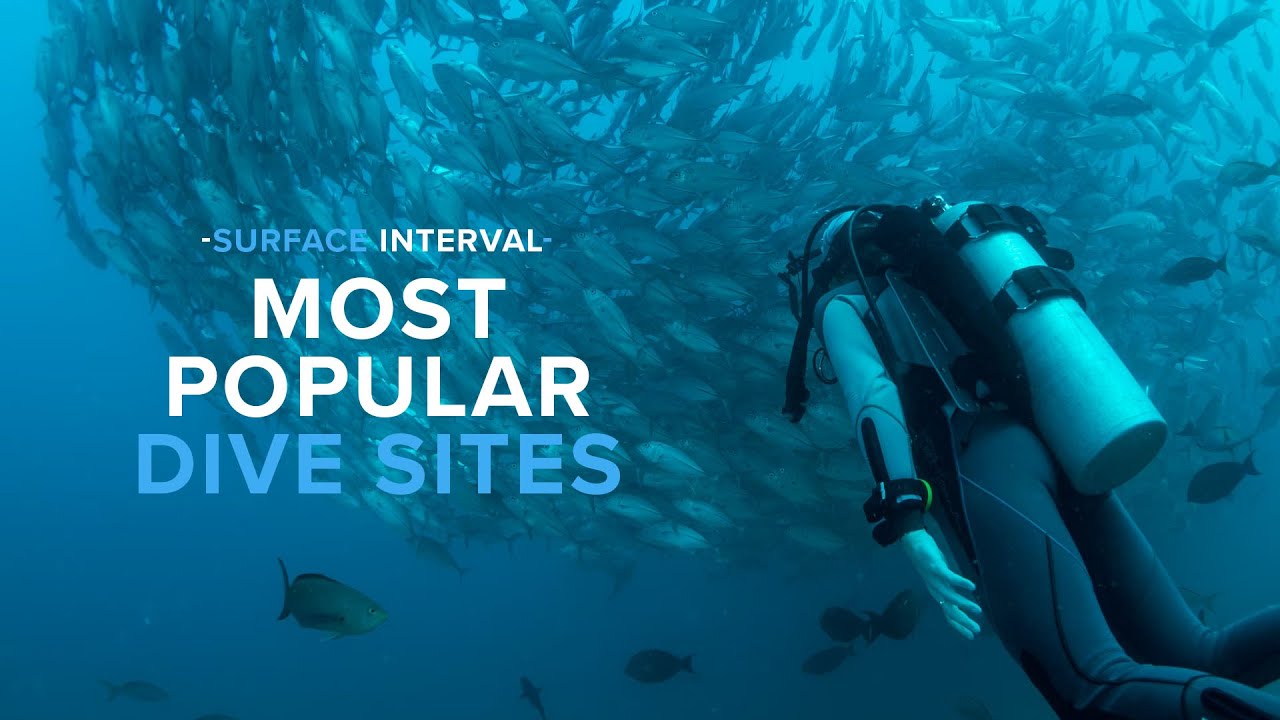 The Most POPULAR Dive Sites In The World