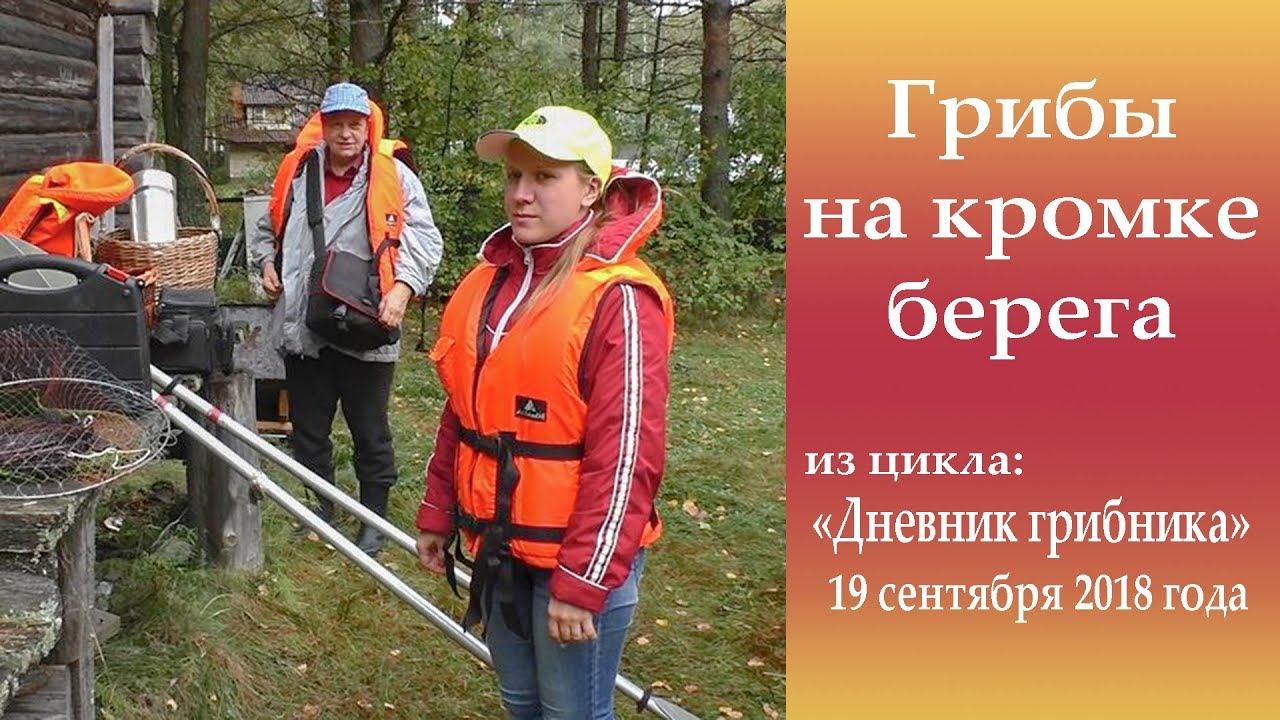 Грибы на кромке берега. Дневник грибника 19 сентября  2018 года