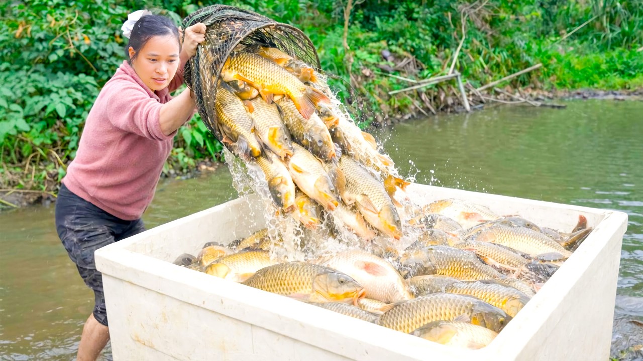 How to Catch Giant Fish in the ABANDONED Fish Pond to Sell at Market - Cooking Yummy Fish Meal