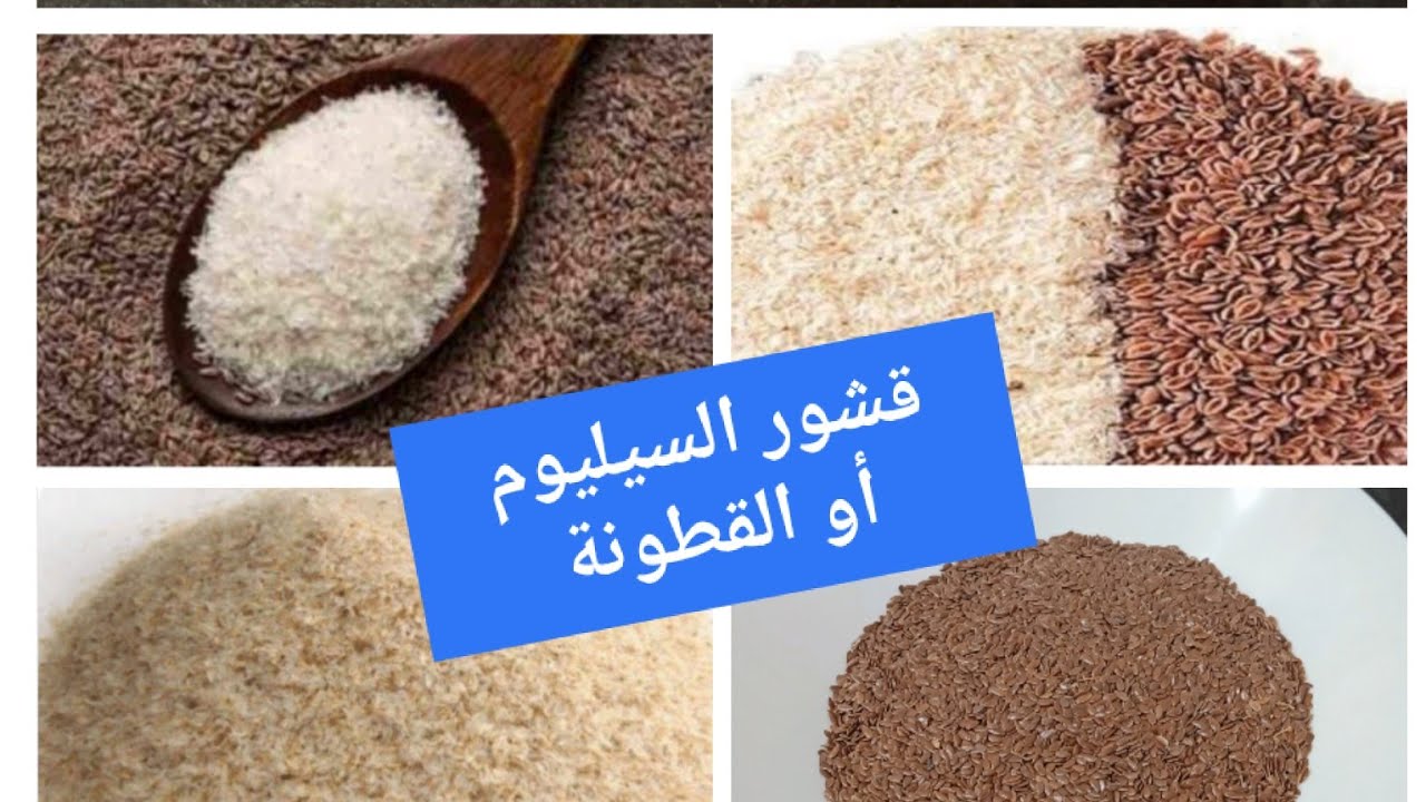 طريقة تحضير السيليوم أو قشور القطونة أو الإسبغول  Amal Hussein Diet💝