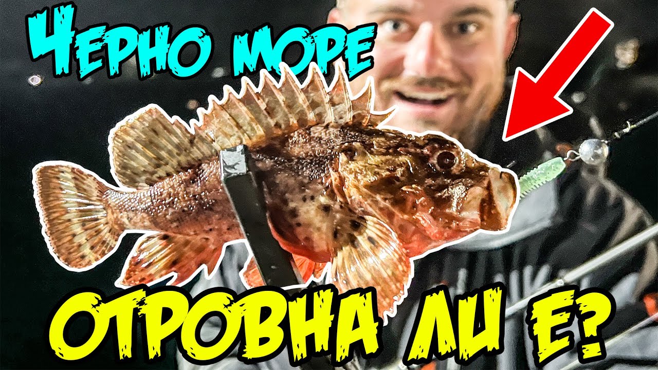 Ловим ОТРОВНИ РИБИ на ЧЕРНО МОРЕ! Риболов на сафрид, скорпид и врана.