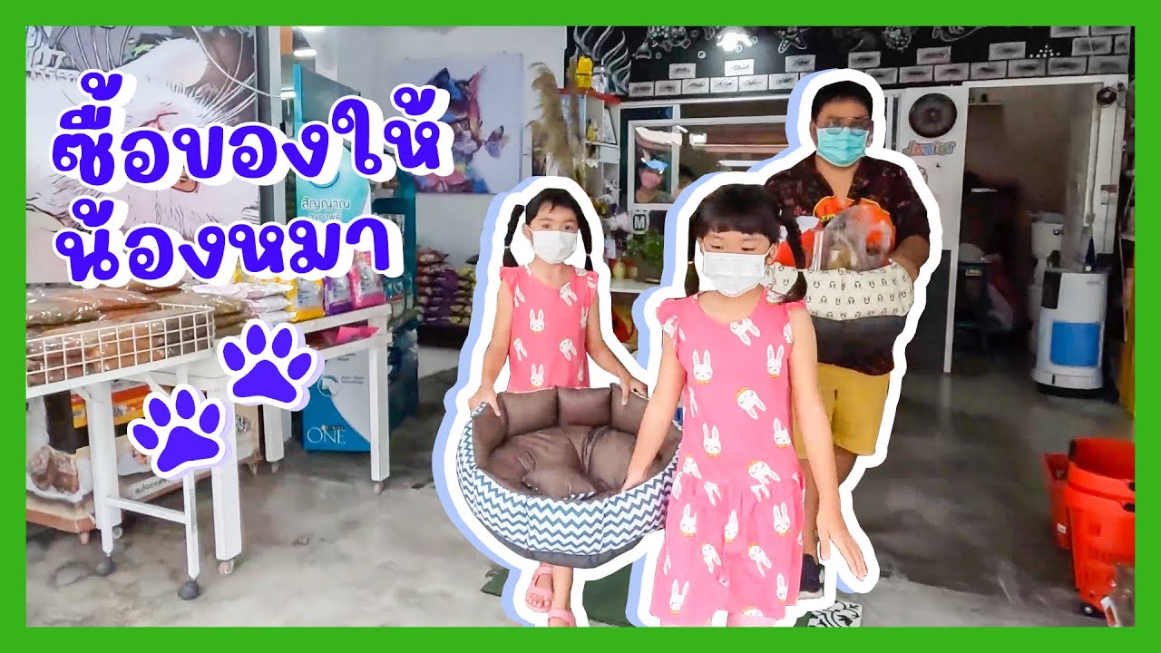 YimYamFamily | ซื้อของให้น้องหมา