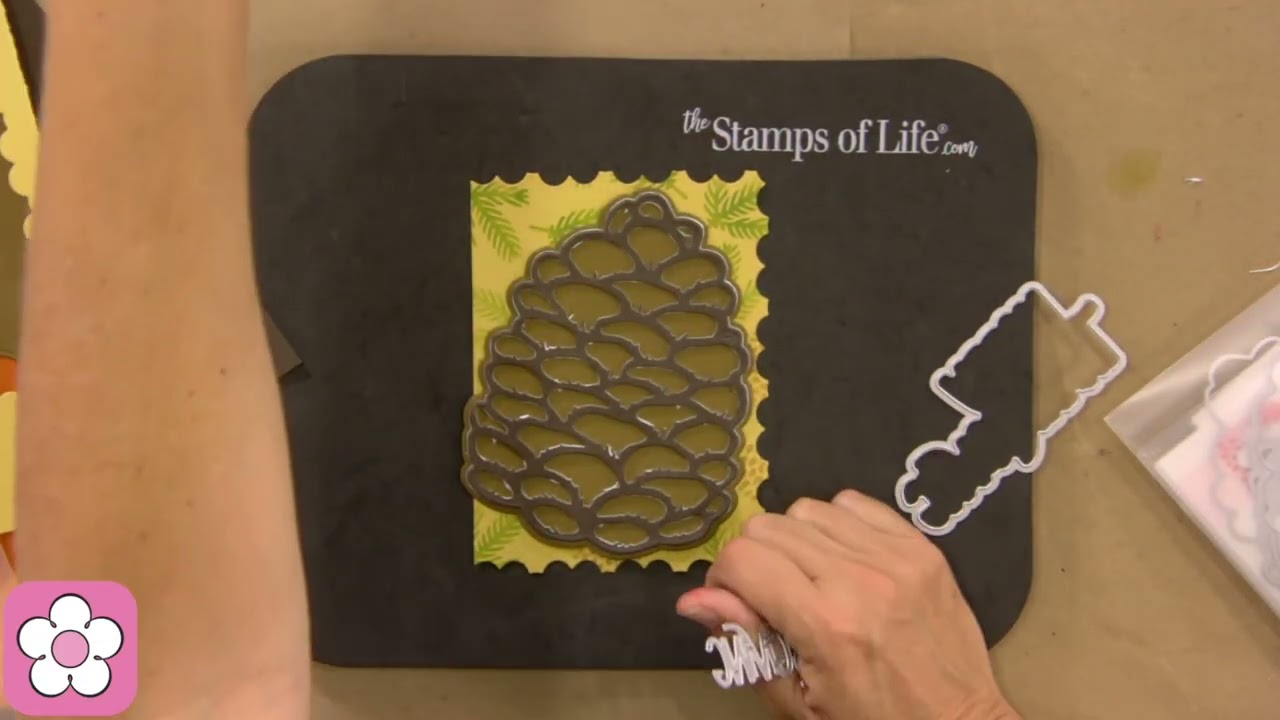 A Quick Pinecone Card With Stephanie & The Stamps of Life
