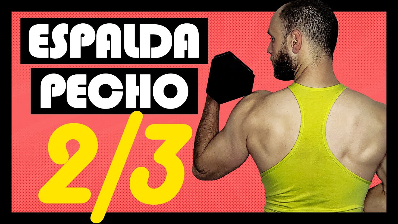 🔴 RUTINA de EJERCICIOS para PECHO y ESPALDA CON MANCUERNAS [HIPERTROFIA en CASA] 🏋️‍♂️ DIA 2/3