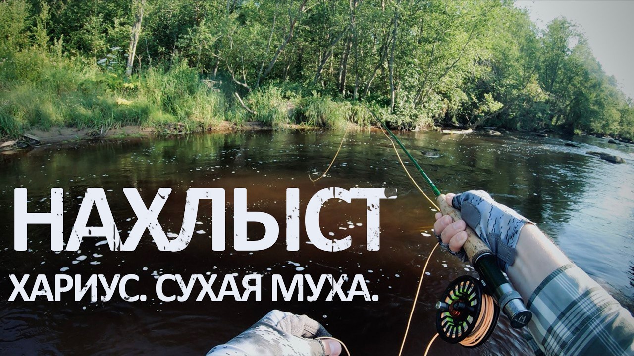 Рыбалка на Нахлыст. Хариус Дикой реки.