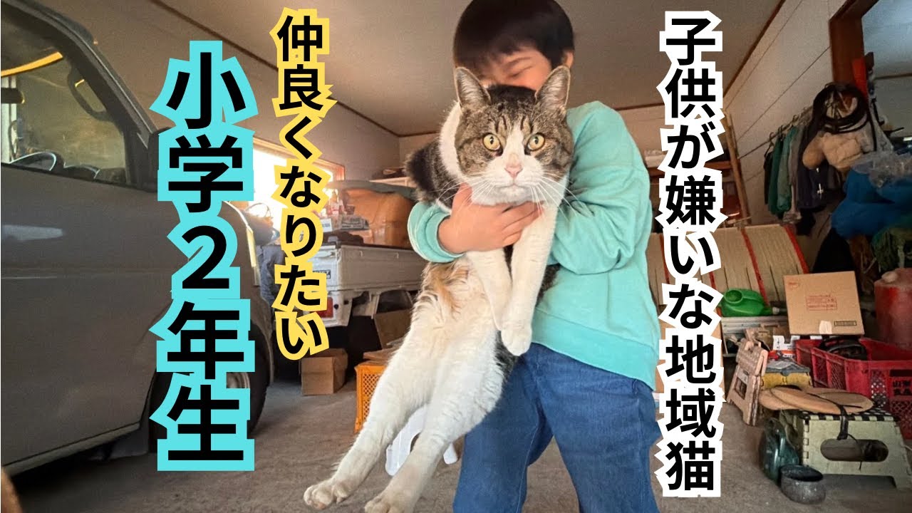 【地域猫ブン】子供嫌いな野良猫が逃げた結果、こうなりました