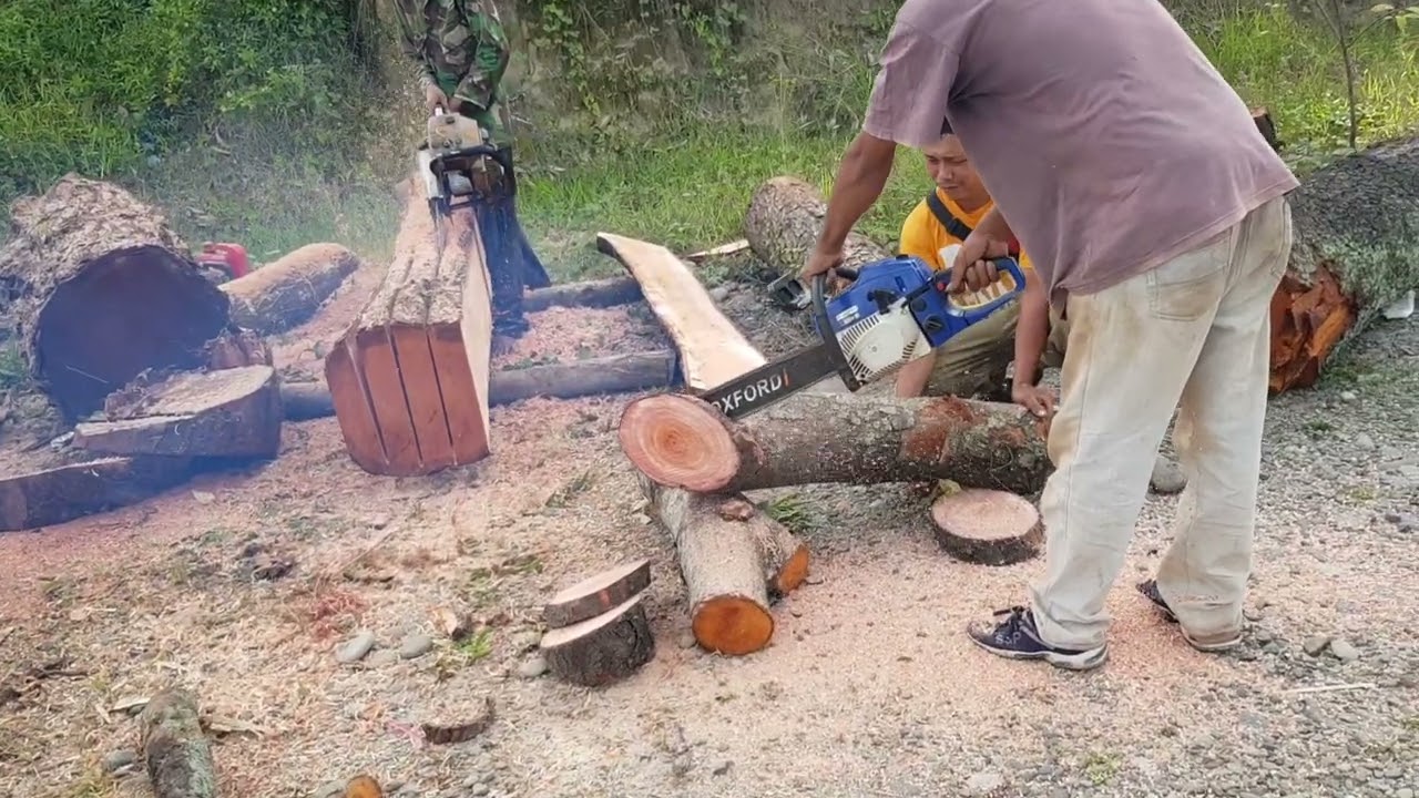 Tehnik Belah Chainsaw Pembuatan Meja Kayu Mahoni solid