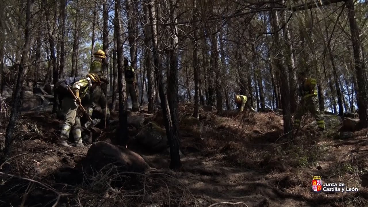 Situación incendio de Santa Cruz del Valle