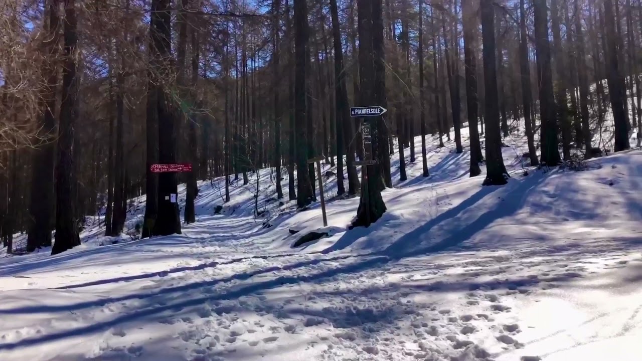 Bardonecchia Pian del sole marzo 2021