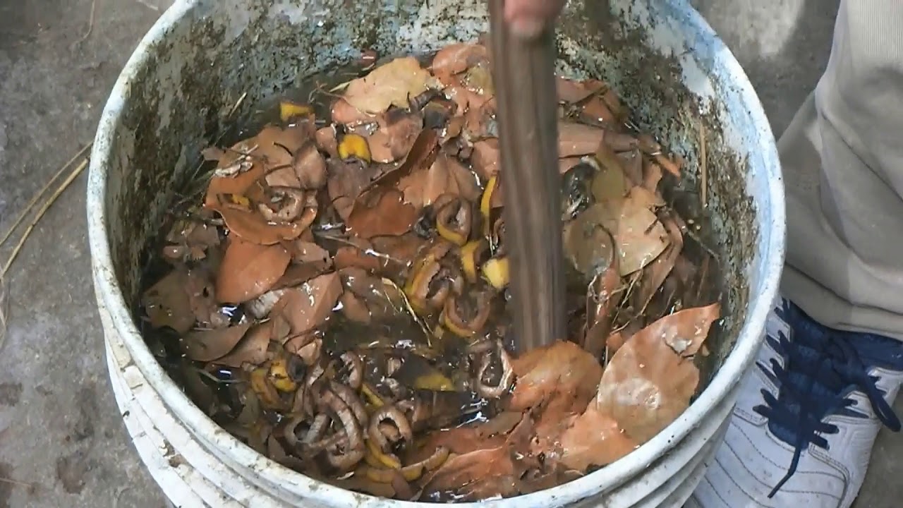 Lombricultura Fácil, Super Fertilizante Parte 1 y 2 Video 9