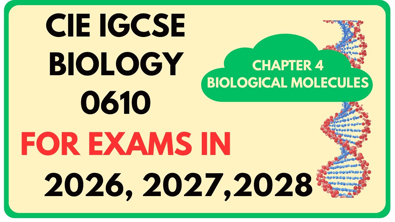 Биология, IGCSE, глава 4: Биологические молекулы