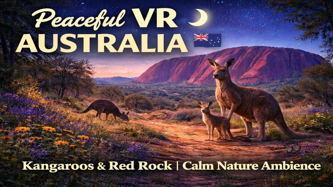 Peaceful VR Australia 🌙 Kangaroos & Red Rock | Calm Nature Ambience (No Talking)