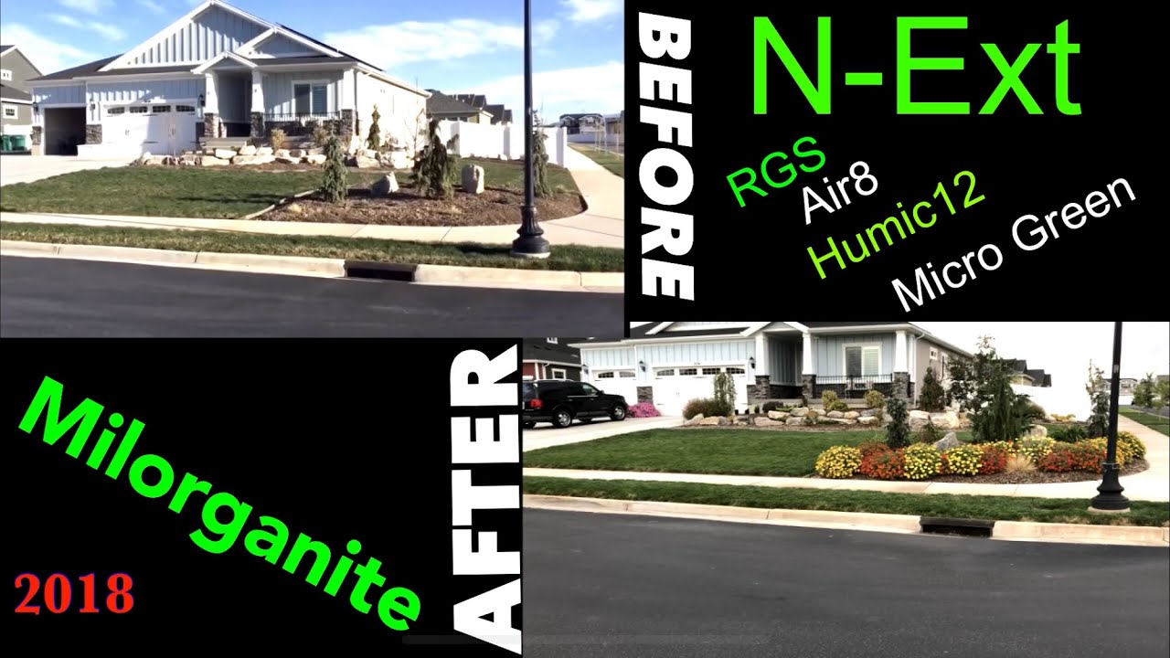 Before and After RGS Humic12 Air8 MicroGreen Milorganite