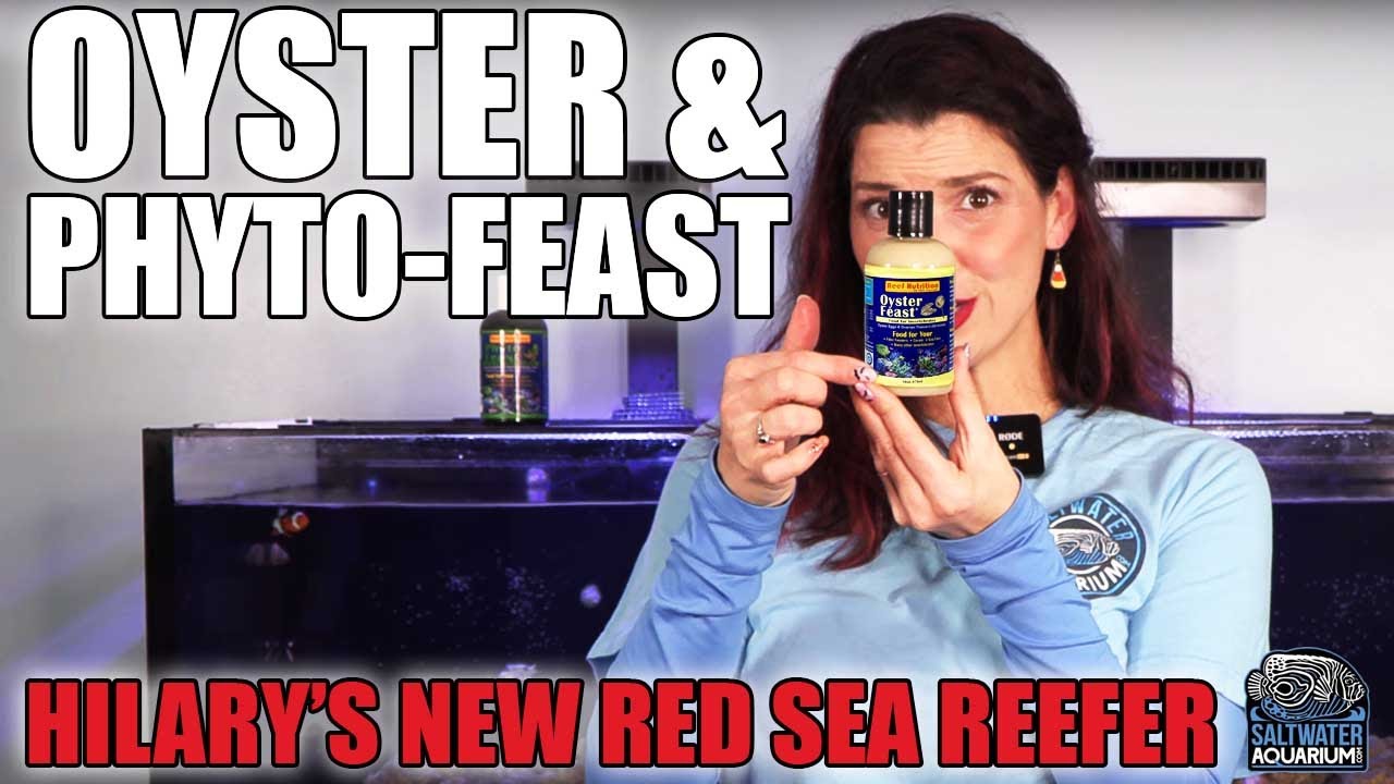 ДОБАВЛЕНИЕ Reef Nutrition Oyster Feast и Phyto-Feast в ваш аквариум — новый рефрижератор Хилари и...