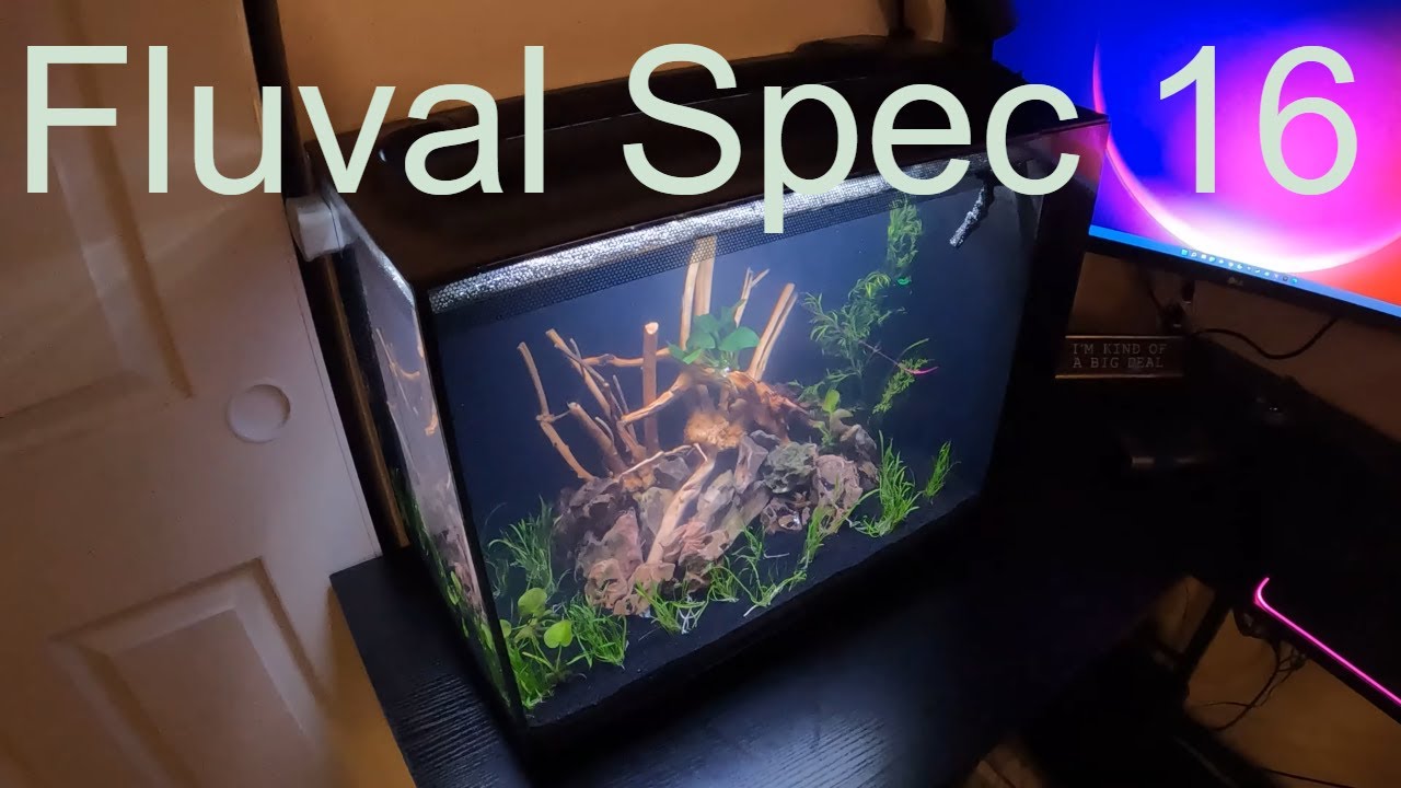 Fluval Spec 16 Review: The Ultimate Desk Tank!