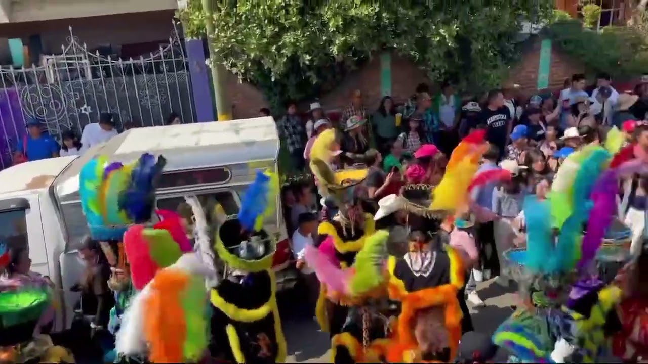 🎶🥁🎺🎺Que suenen los sones! Brinco de chinelos con la Banda Tromba🎶🥁📯🎺