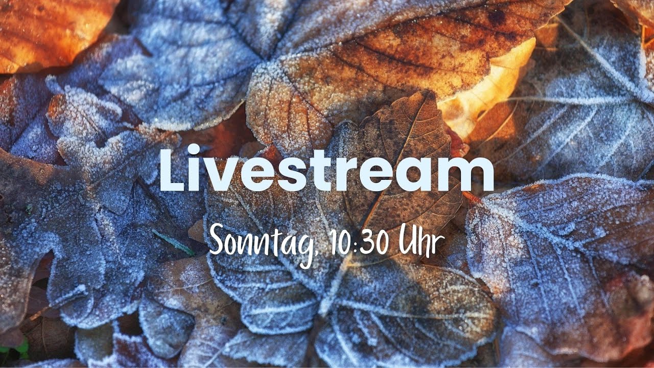 Herausforderungen, die uns formen - Manuel Malisic (Agape Kirche Appeneweier) - 08.02.26