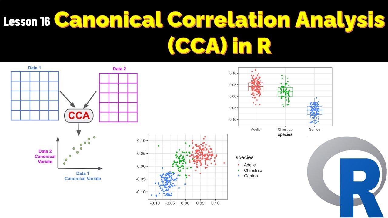 Canonical Correlation Analysis in R| Canonical Correlation Analysis | R Data Analysis Examples