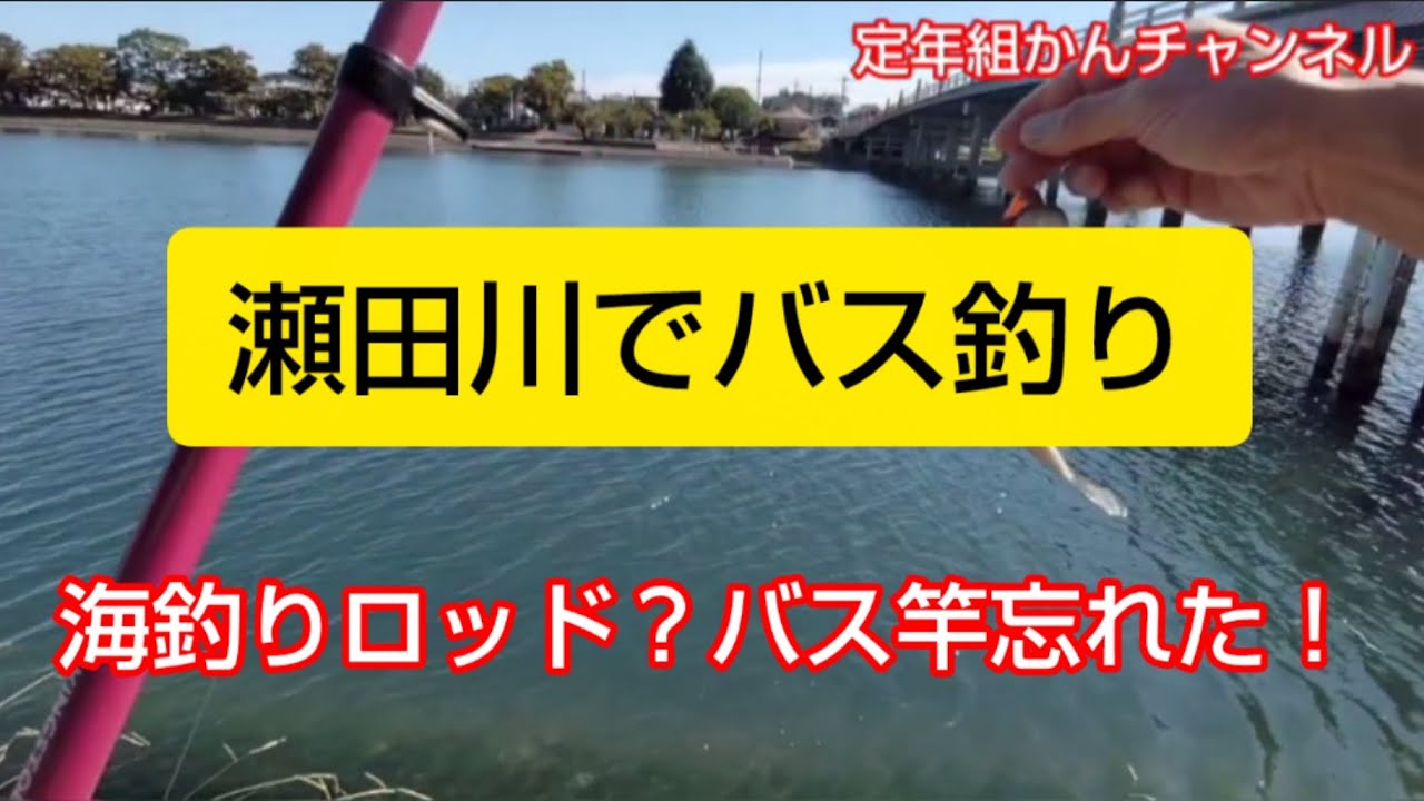 【定年退職】瀬田川へバス釣りに行ったがバス竿忘れて、海釣りロッドでやってみた！