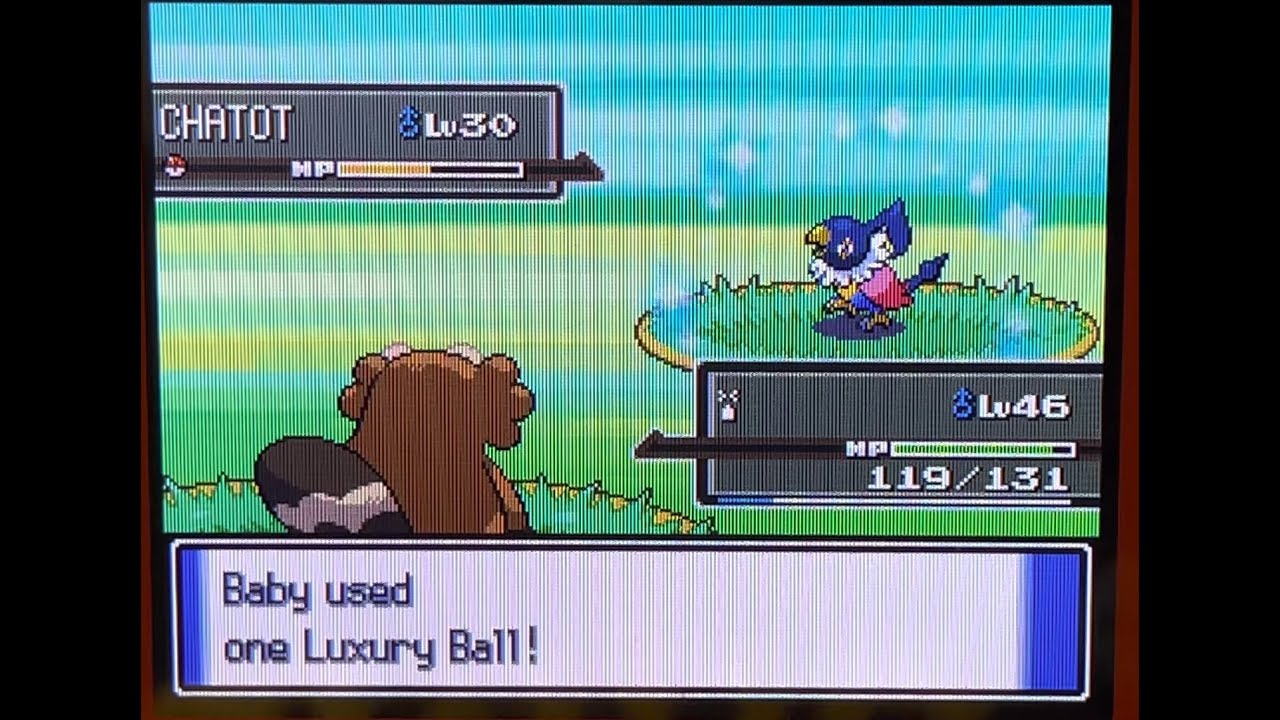 (DTQ #6) Live! Shiny Chatot in Platinum after 2,130 REs!