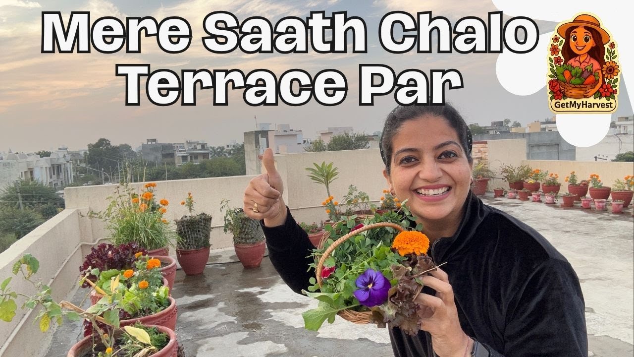 Terrace Par Chalo Mere Saath | Terrace Garden Vlog | GetMyHarvest #terracegardenindia