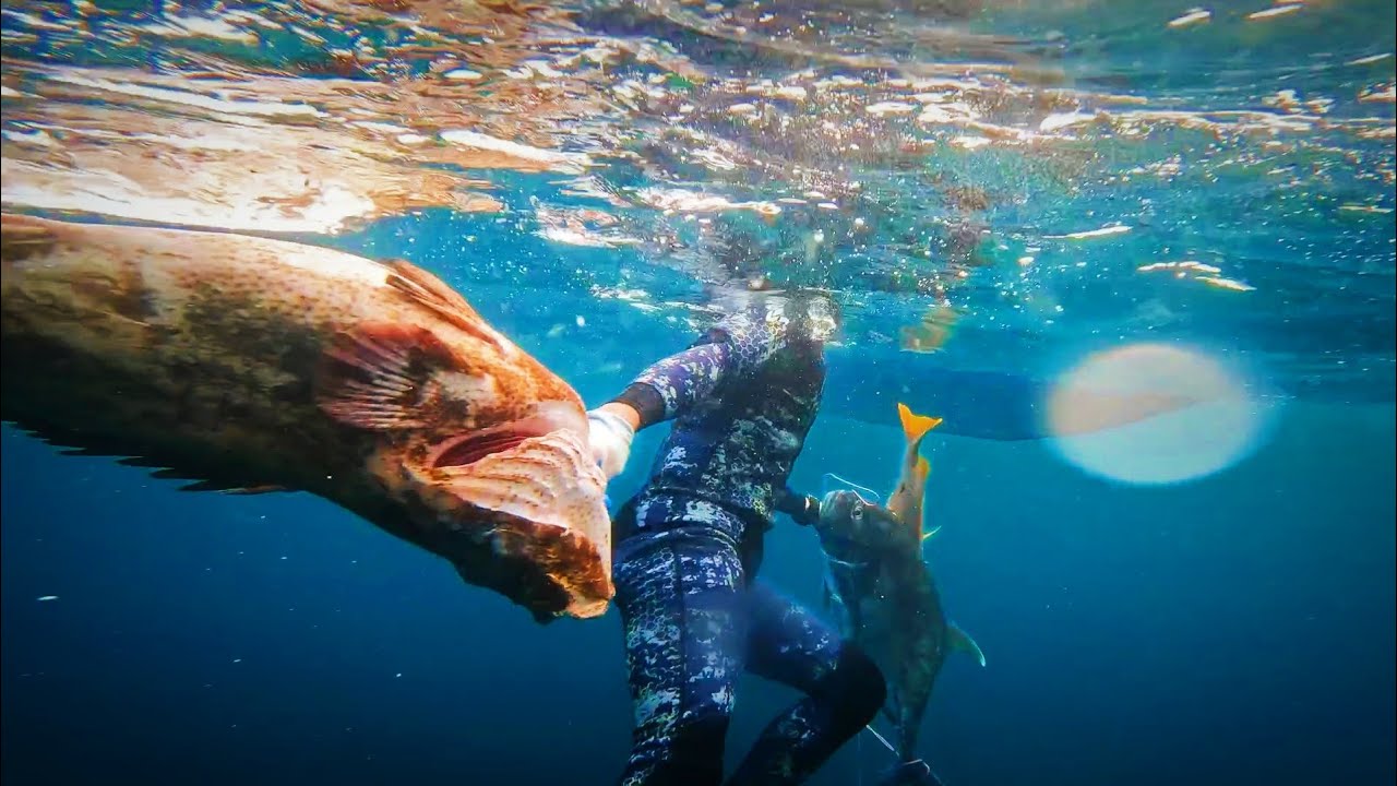 INTENSE and HUGE CATCH and rare footage of sharks attack our catch Lapu-Lapu | CATCH, SELL AND COOK