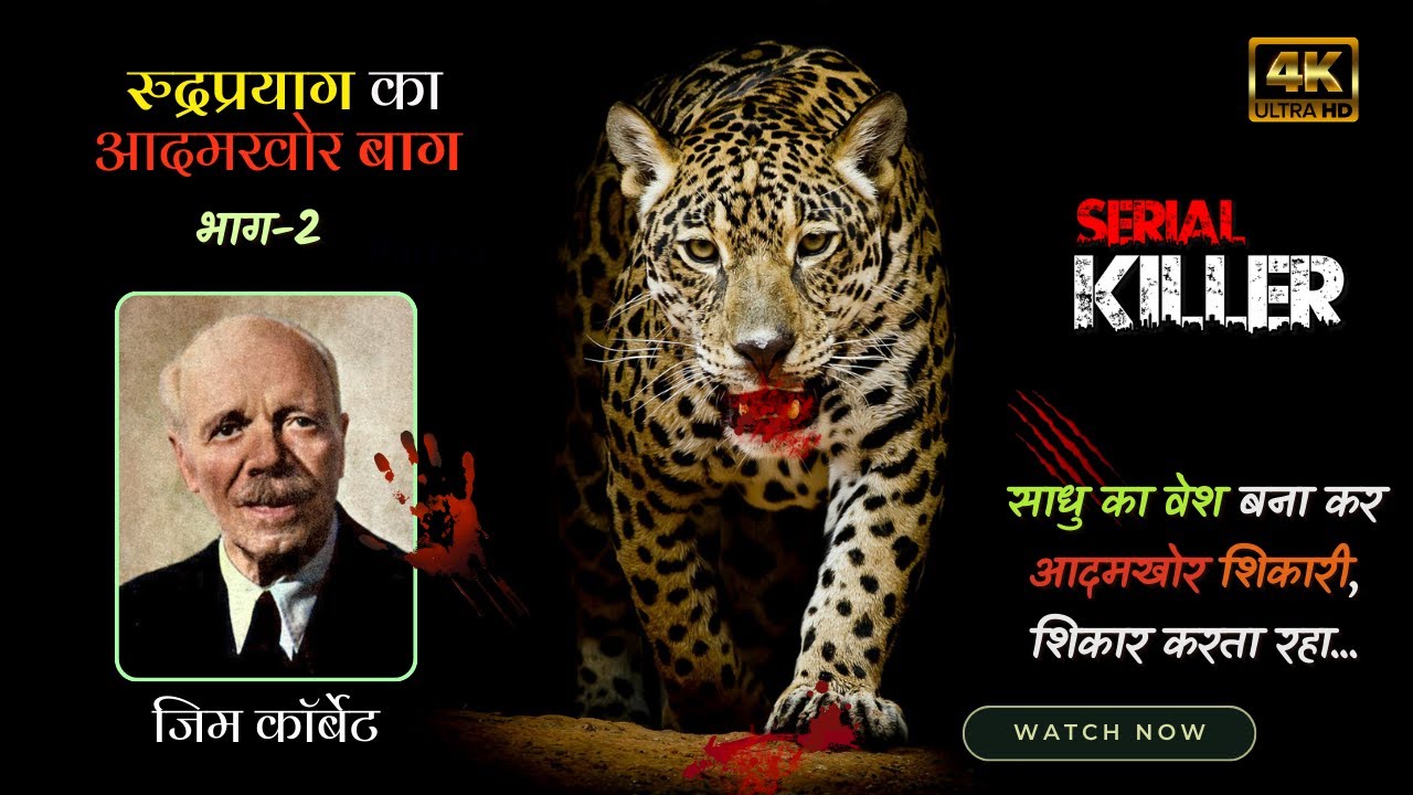 Rudraprayag Leopard - 2 | रुद्रप्रयाग का आदमखोर बाघ | Jim Corbett | 34K Video #3d Sound #CorbettLore