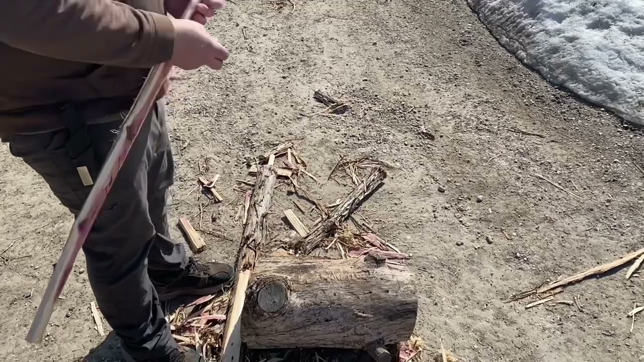 Eastern red cedar Bushcraft Bow part 1