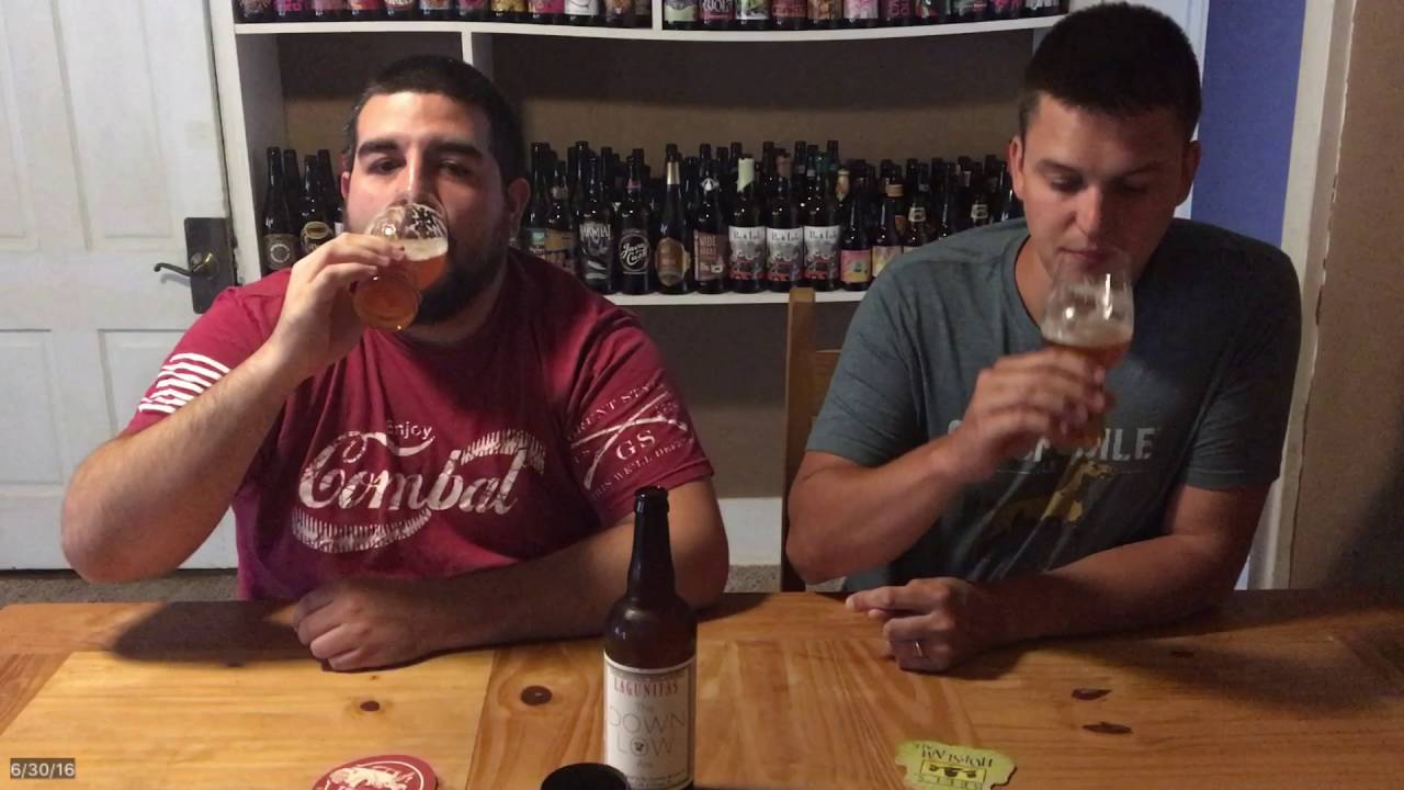 Lagunitas Low Down session IPA