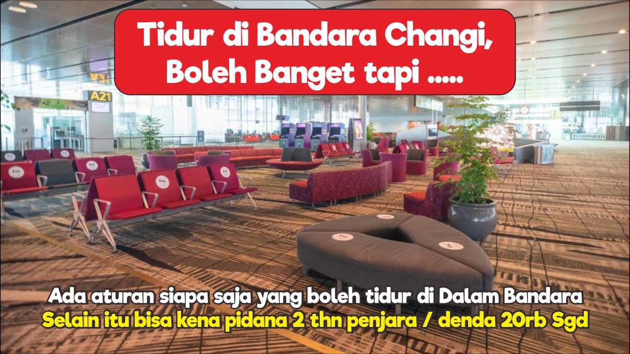 Aturan Menginap di Changi Airport - Boleh atau Tidak ?? Jangan Sampai Kena Pidana atau Denda