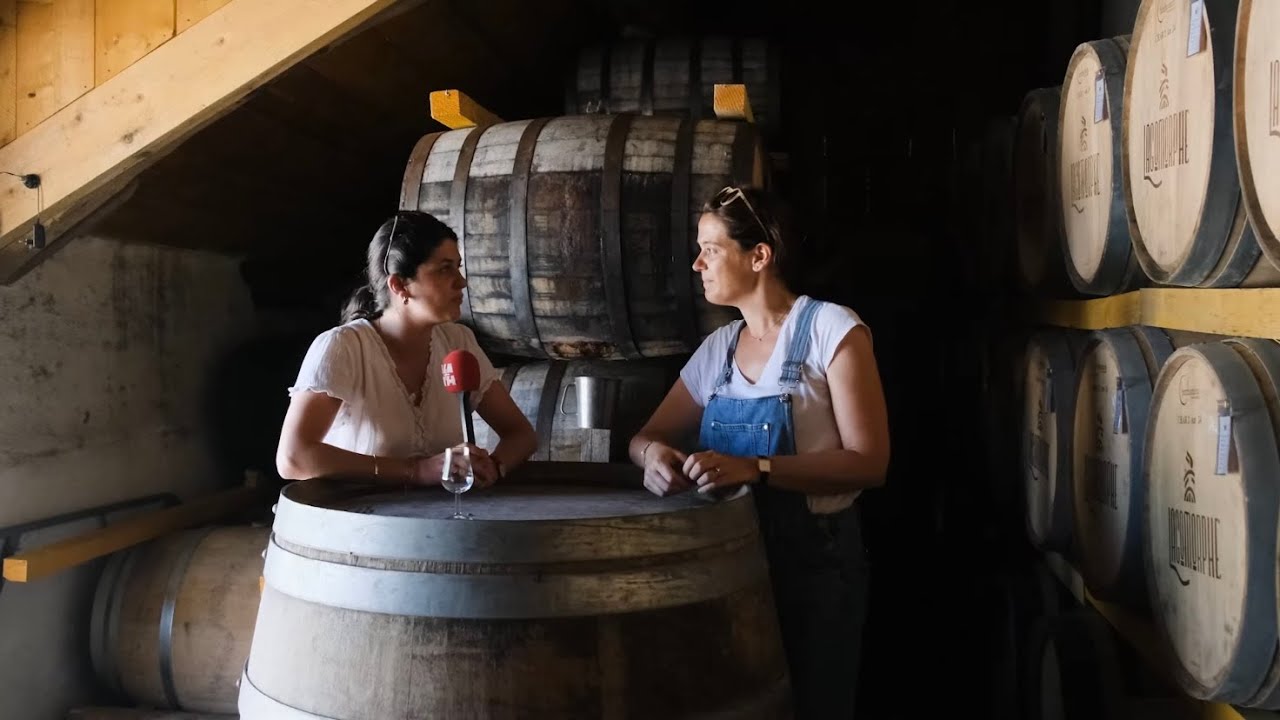 WHISKY LAGOMORPHE - Visite de la ferme-distillerie de Faronville