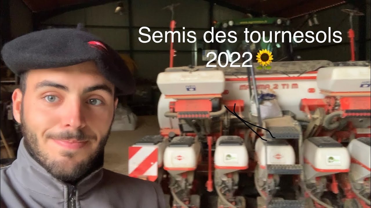 semis tournesol 2022