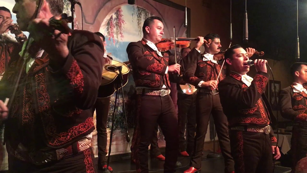 Mariachi Sol De Mexico | Cocula