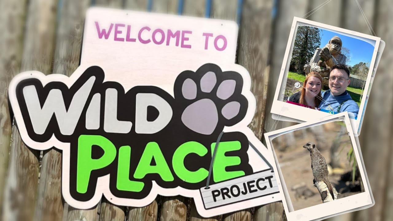 NEW! Wild Place Project The New Home Of Bristol Zoo 🦒 Wolverine’s Are Real? 🐻 Wildlife Park Vlog