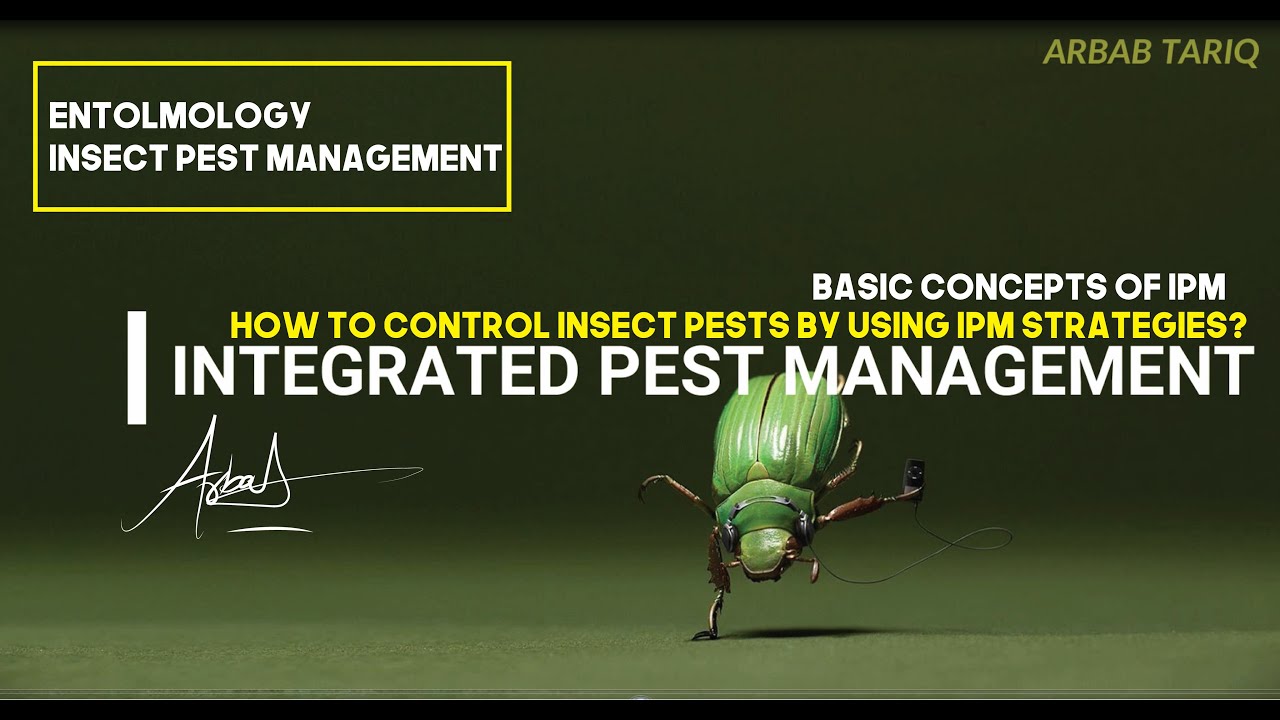Integrated Pest Management/Concepts of IPM/Pest Management/Entomology/Insect Pest Management