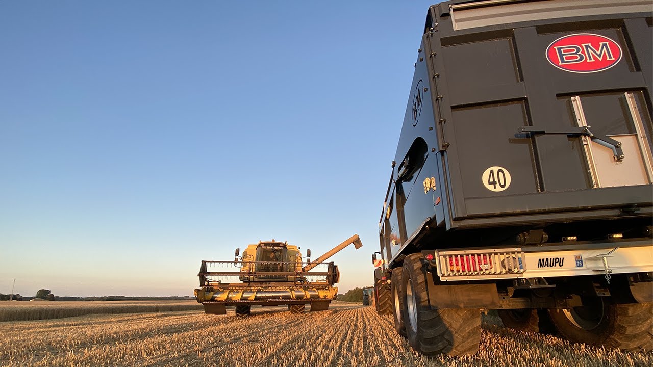 [UNIQUE] FENDT 720 & FAVORIT 816 - BENNE MAUPU BLACK À LA MOISSON 2020 AVEC UNE TX 65 !