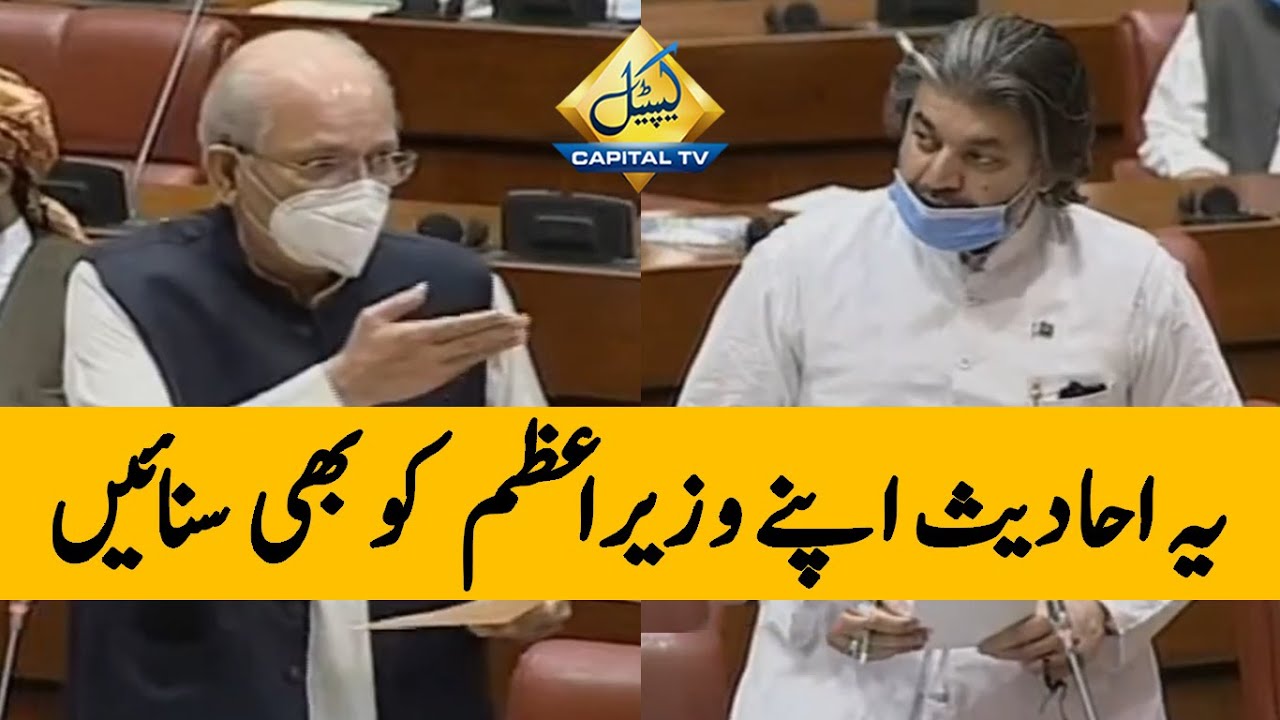 Riasat E Medina Ka Namm Laina Chor Dain | Mushahid Ullah Khan VS Ali Muhammad Khan In Senate