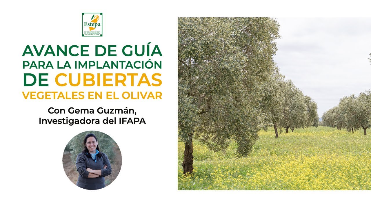 Conferencia sobre 