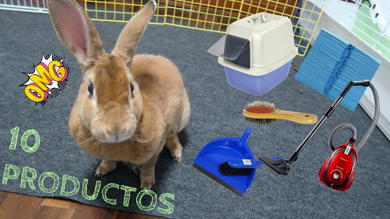 10 PRODUCTOS PARA CONEJOS 🐇 - útiles en mi día a día 😊👀