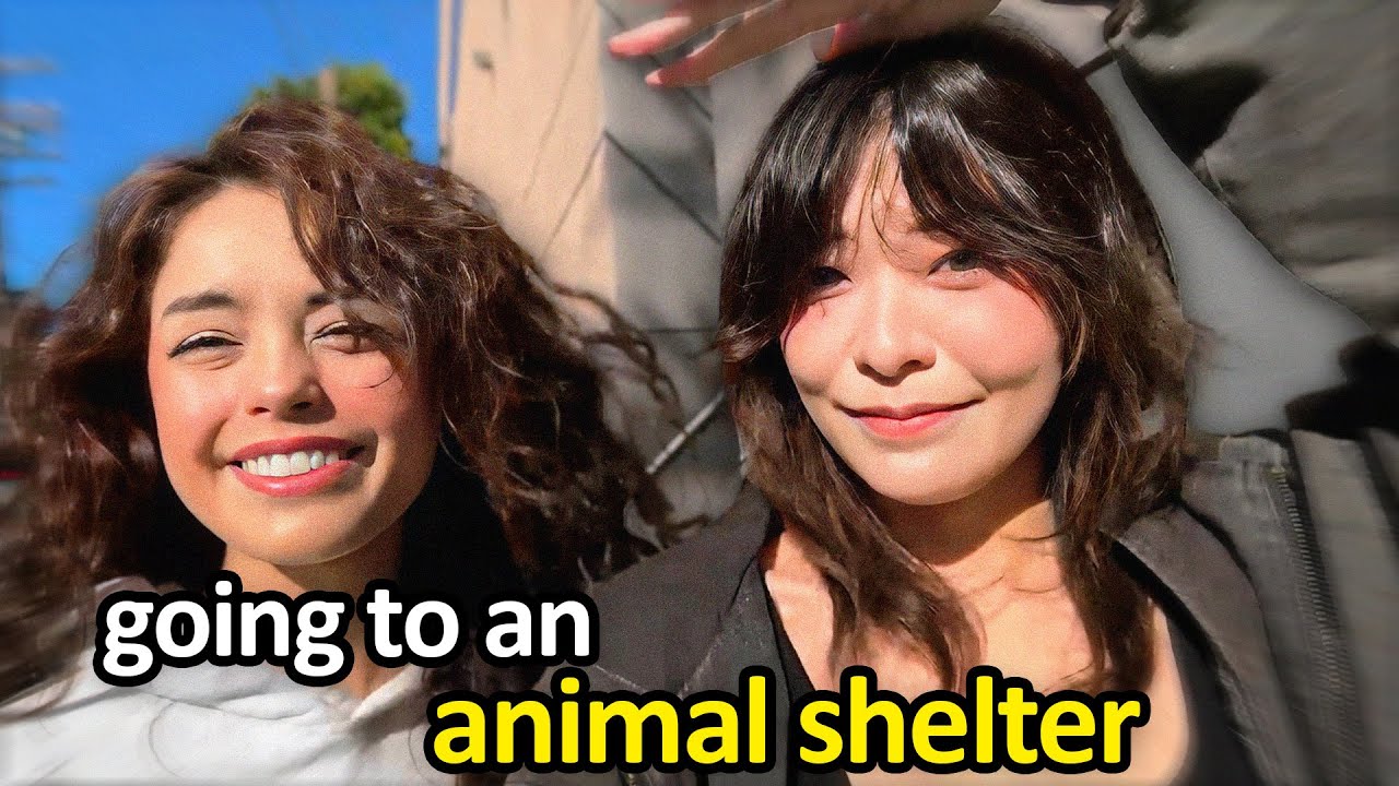 We're adopting a puppy!!!