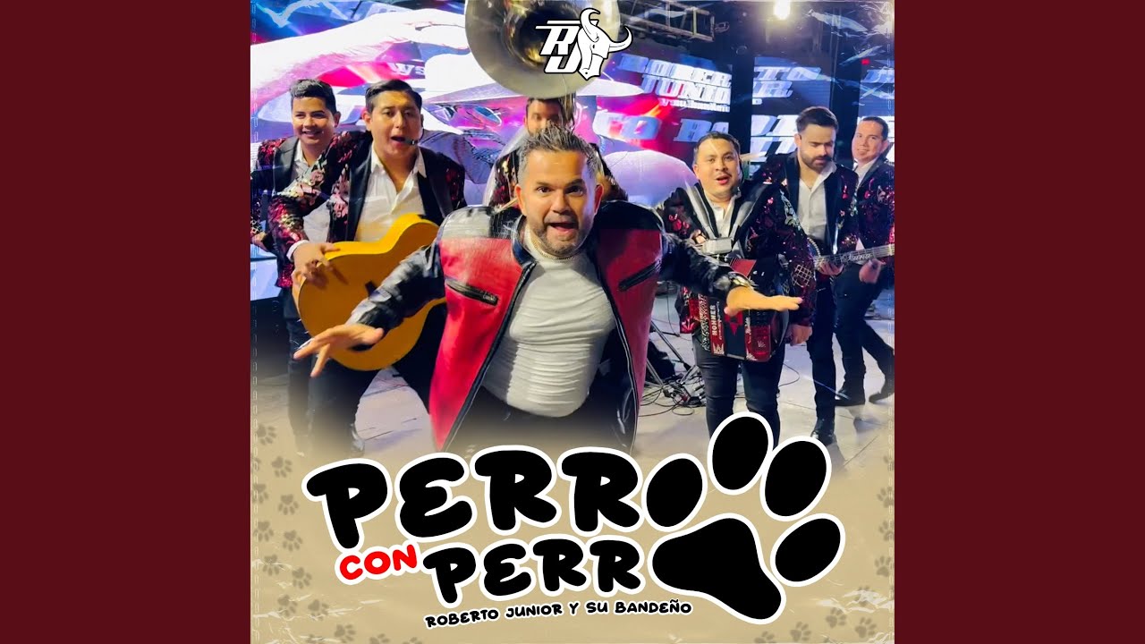 Perro Con Perro