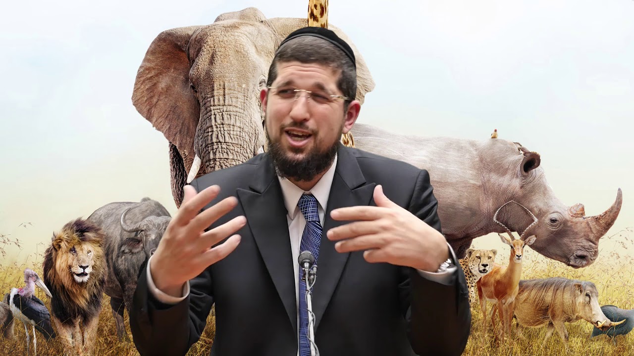 דבר תורה וחידוש מתוך הספר זרע שמשון - פרשת וארא תשע