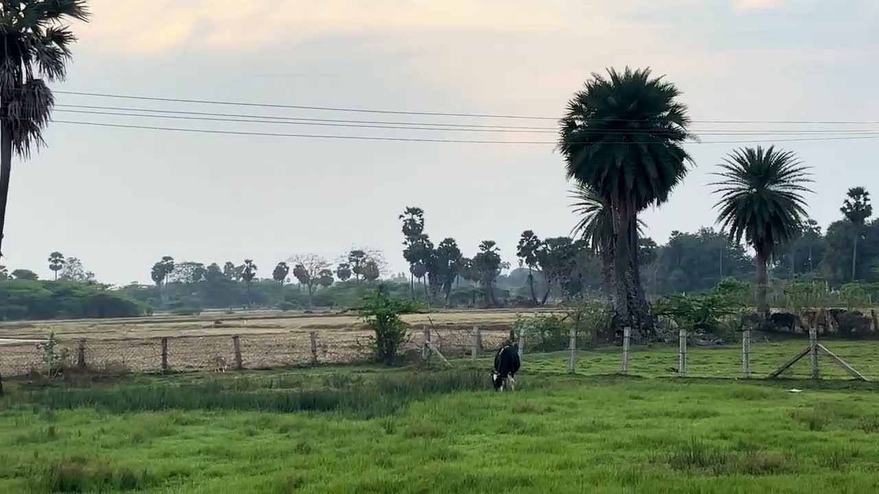 Cinematic views of karaikudi #lifestyle #karaikudi #cinematic #bestview #minivlog #2026 