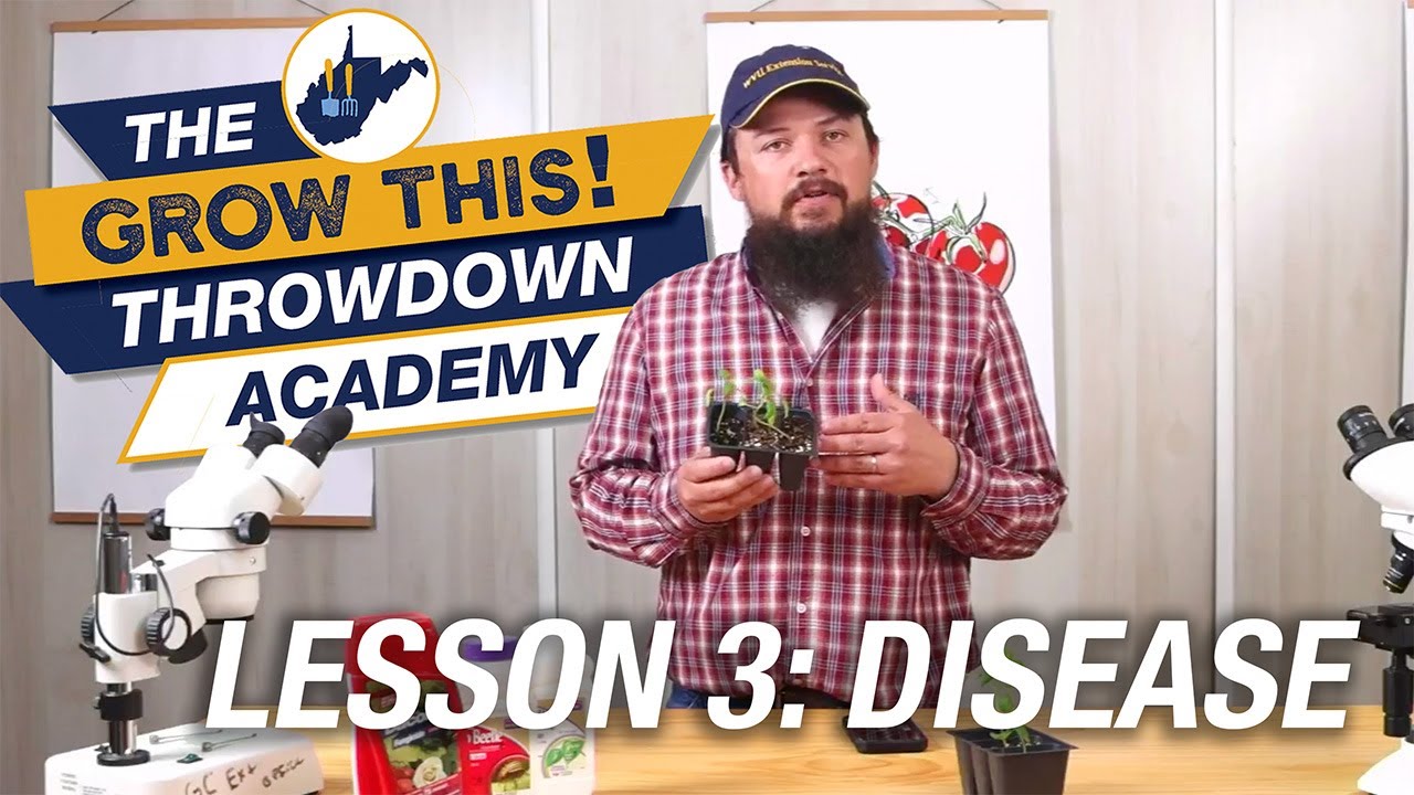 Grow This Throwdown Academy: Diseases in the Garden