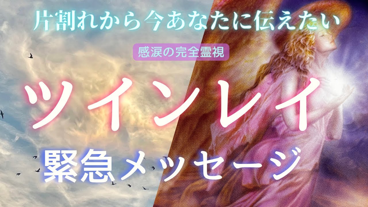 【この動画がサインです☯️】予定になかった緊急リーディング🚨 統合する意志が整った片割れさんいます。あなたへの言葉をそのまま降ろしたら泣けました😭