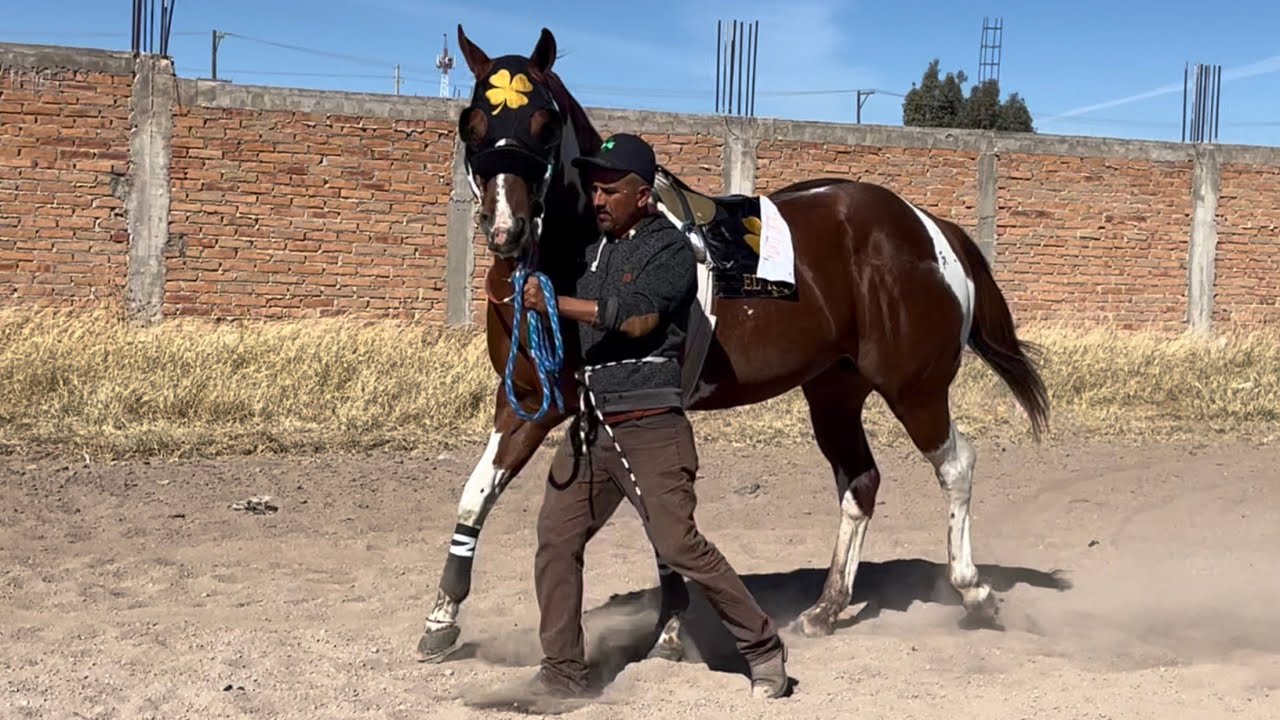 El Pinto Mas Velos | El Ruso Vs El Rubio Vs El Wilwor, Carril 2000, Durango Mex.