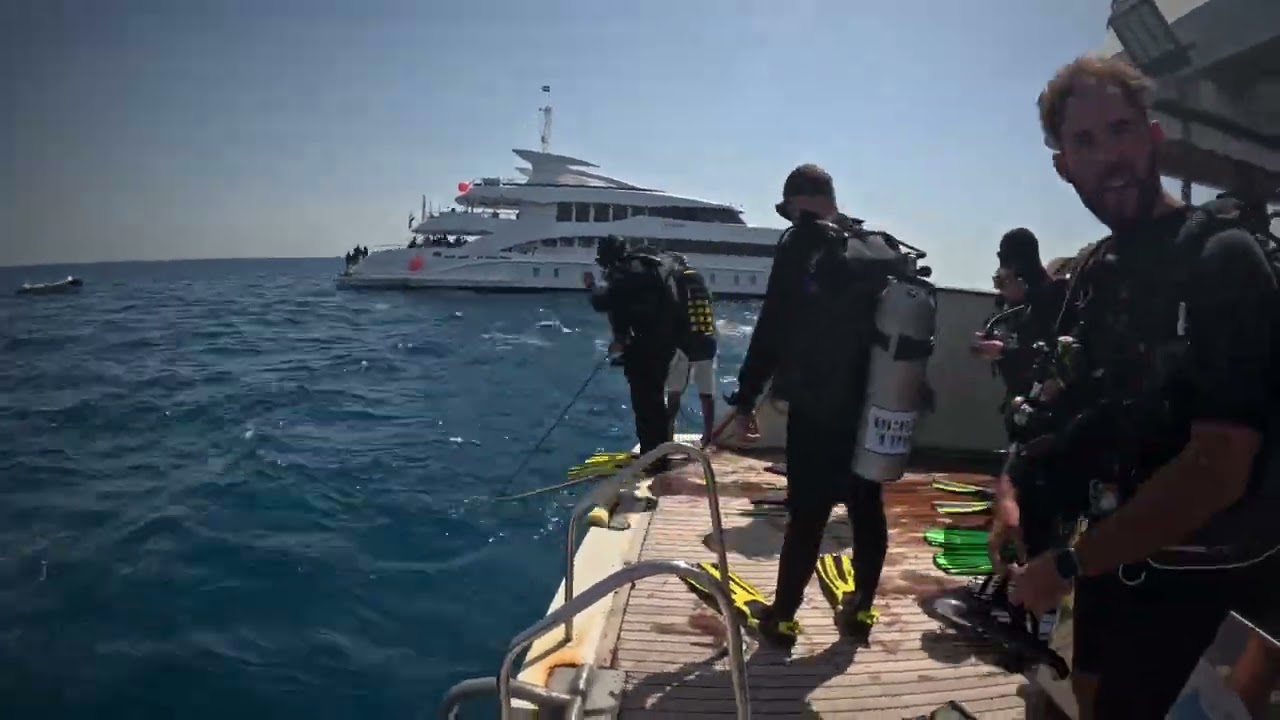 Liveaboard 2024 Day 3 on Ghazala Explorer (Wrecks and reefs)