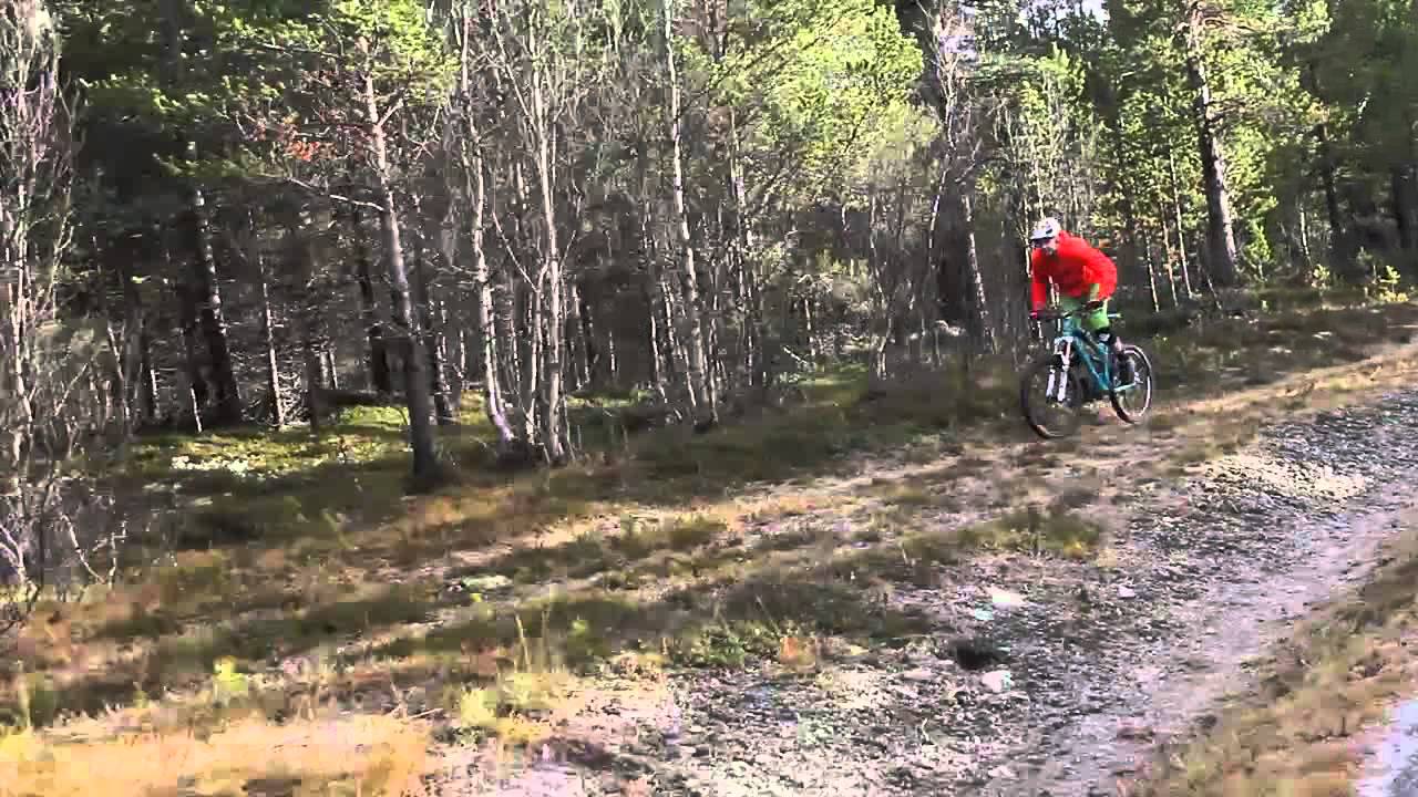 Yeti SB66